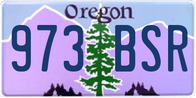 OR license plate 973BSR