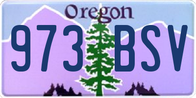 OR license plate 973BSV