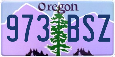 OR license plate 973BSZ