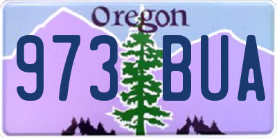 OR license plate 973BUA