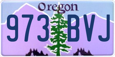 OR license plate 973BVJ