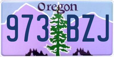 OR license plate 973BZJ
