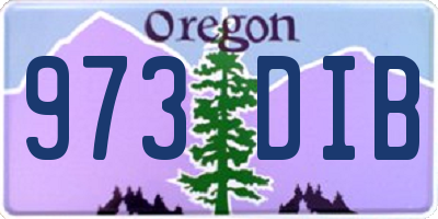 OR license plate 973DIB