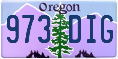 OR license plate 973DIG