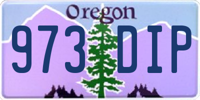 OR license plate 973DIP