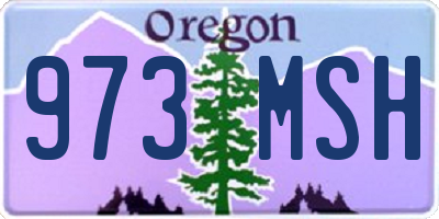 OR license plate 973MSH