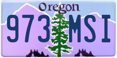 OR license plate 973MSI