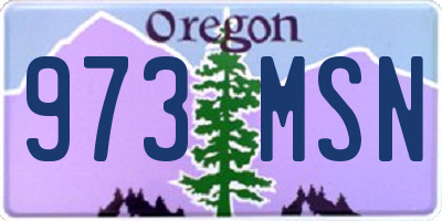 OR license plate 973MSN