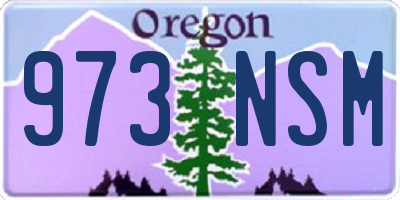 OR license plate 973NSM