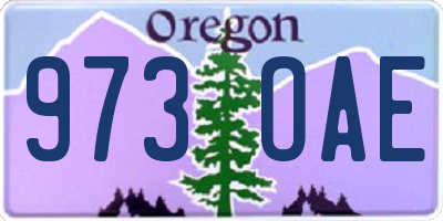 OR license plate 973OAE