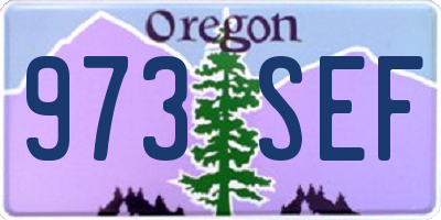 OR license plate 973SEF