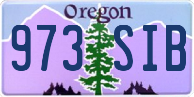 OR license plate 973SIB
