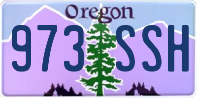OR license plate 973SSH