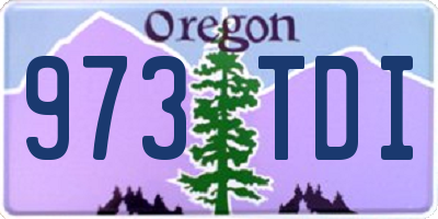 OR license plate 973TDI