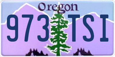 OR license plate 973TSI