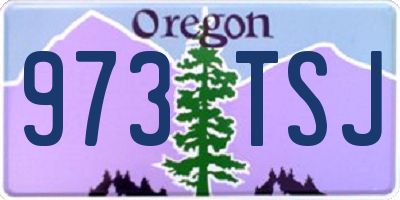 OR license plate 973TSJ