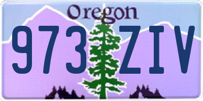 OR license plate 973ZIV