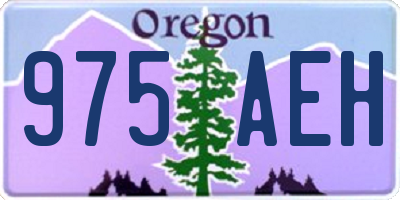 OR license plate 975AEH