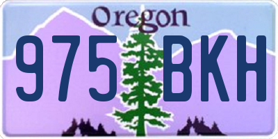 OR license plate 975BKH