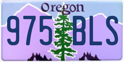 OR license plate 975BLS