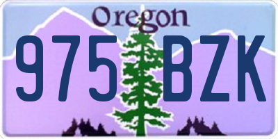 OR license plate 975BZK
