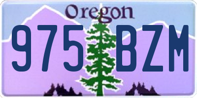 OR license plate 975BZM