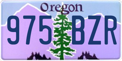 OR license plate 975BZR