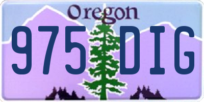OR license plate 975DIG