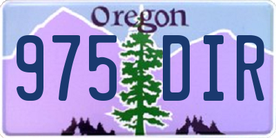 OR license plate 975DIR