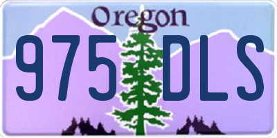 OR license plate 975DLS