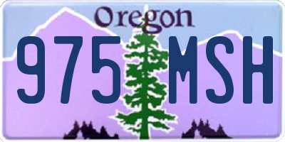 OR license plate 975MSH