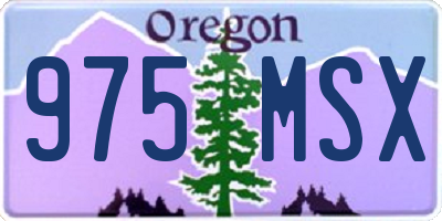 OR license plate 975MSX