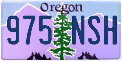 OR license plate 975NSH