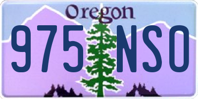 OR license plate 975NSO