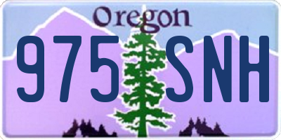 OR license plate 975SNH