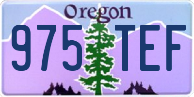 OR license plate 975TEF