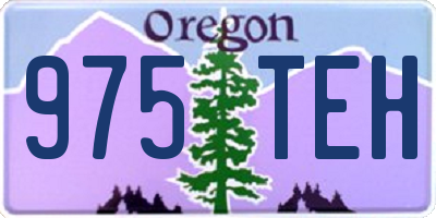 OR license plate 975TEH