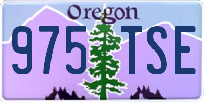 OR license plate 975TSE