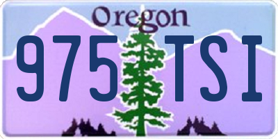 OR license plate 975TSI