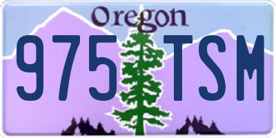 OR license plate 975TSM