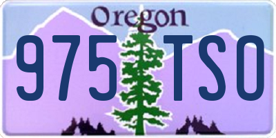 OR license plate 975TSO