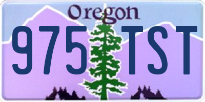 OR license plate 975TST