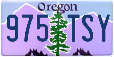 OR license plate 975TSY