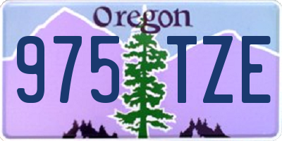 OR license plate 975TZE