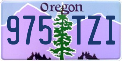 OR license plate 975TZI