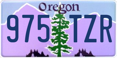 OR license plate 975TZR