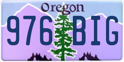 OR license plate 976BIG