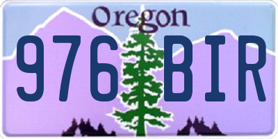 OR license plate 976BIR