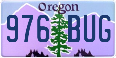 OR license plate 976BUG