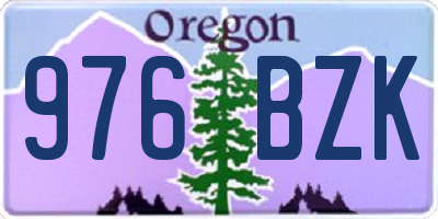 OR license plate 976BZK